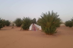 IMG-20191012-WA0053